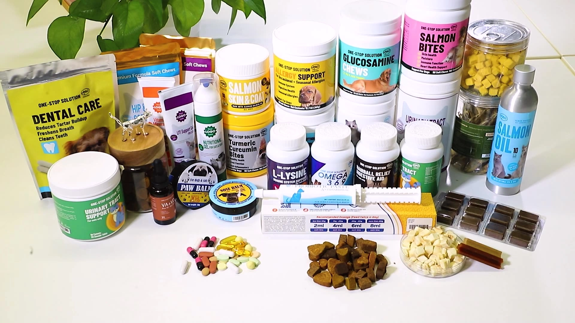 En İyi Kedi ve Köpek Omega 3 Takviyeleri